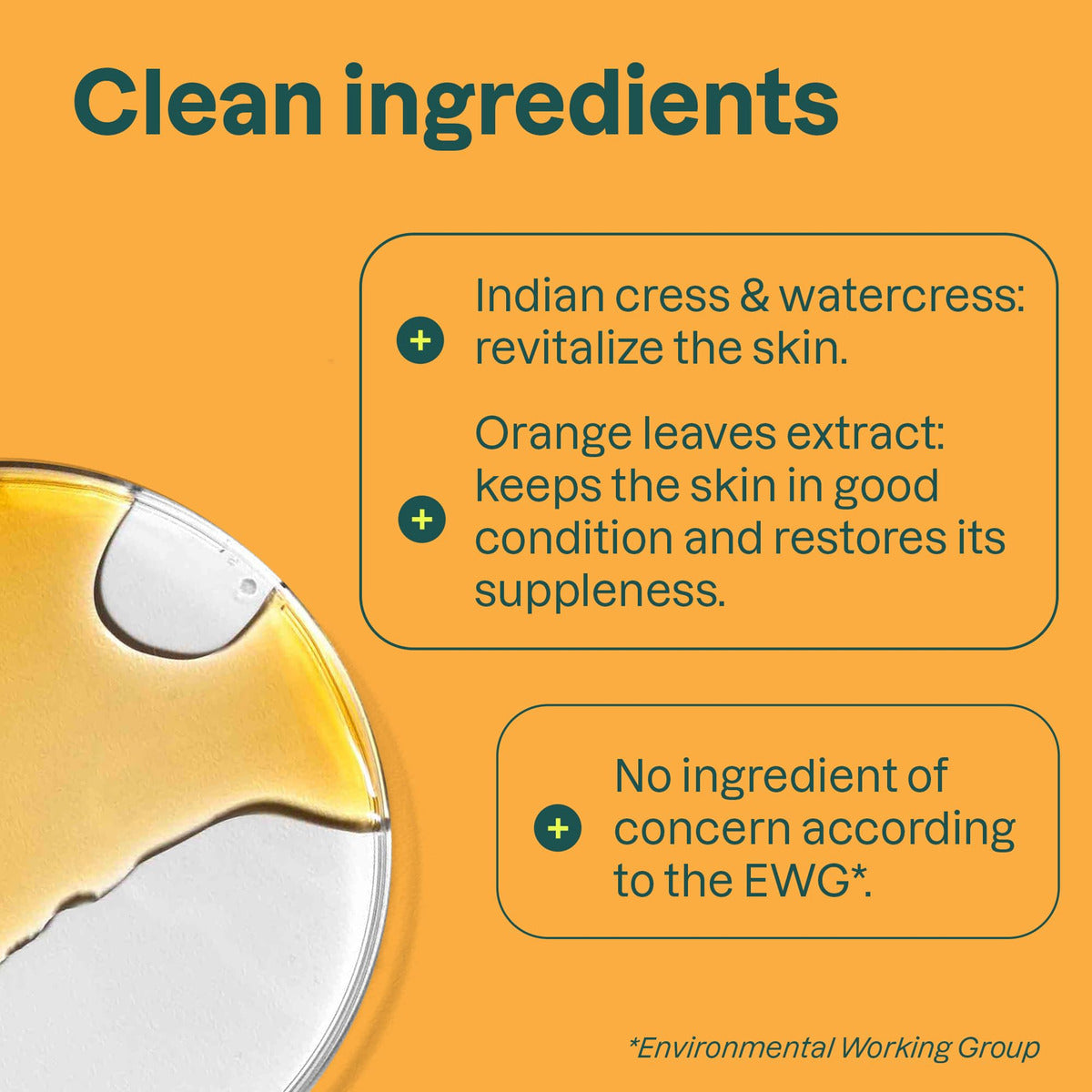 Productos veganos para el cuidado personal a base de plantas y minerales