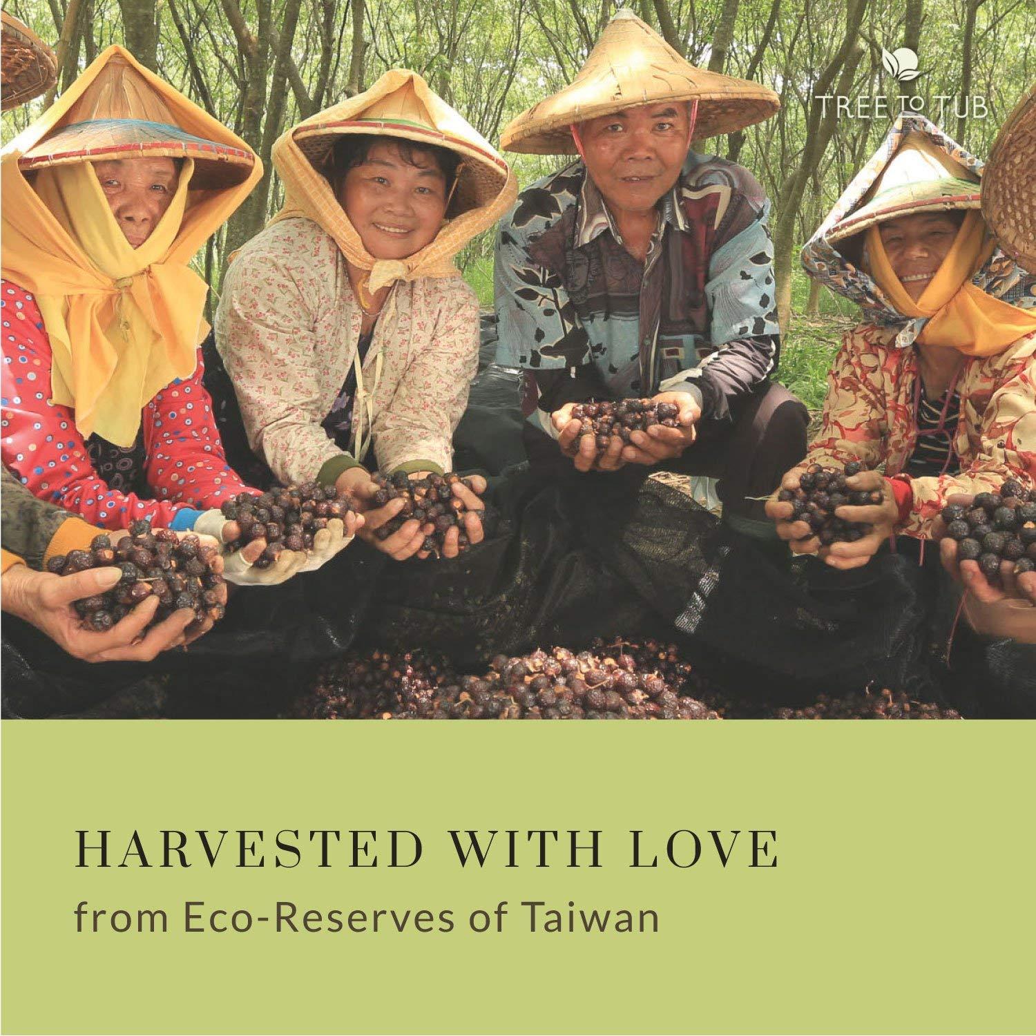 Hidratante corporal vegano con manteca de cacao de aloe vera