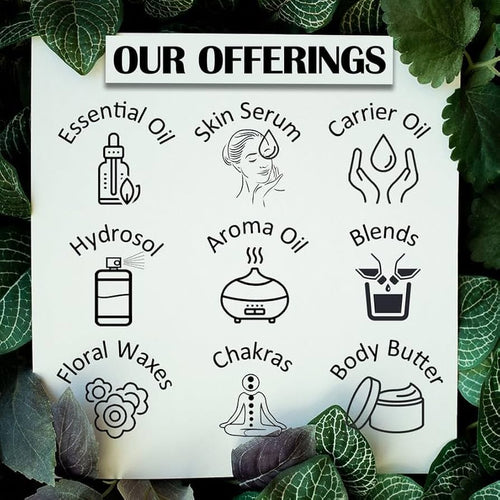 Aceite esencial de chaulmoogra puro de Greenwood